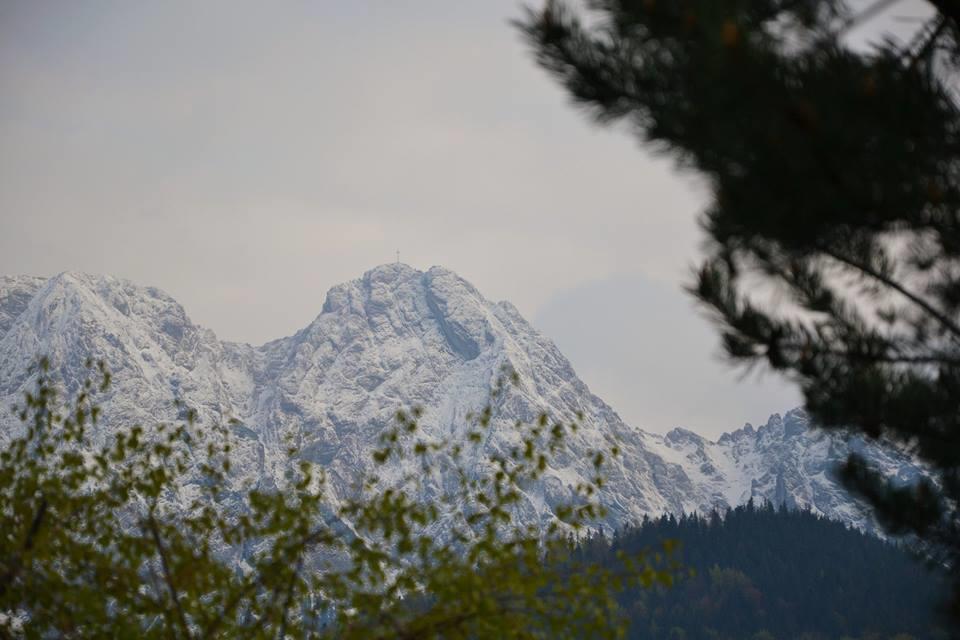Apartament Twoj Giewont Zakopane Kościelisko Dış mekan fotoğraf